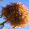 20081026_194